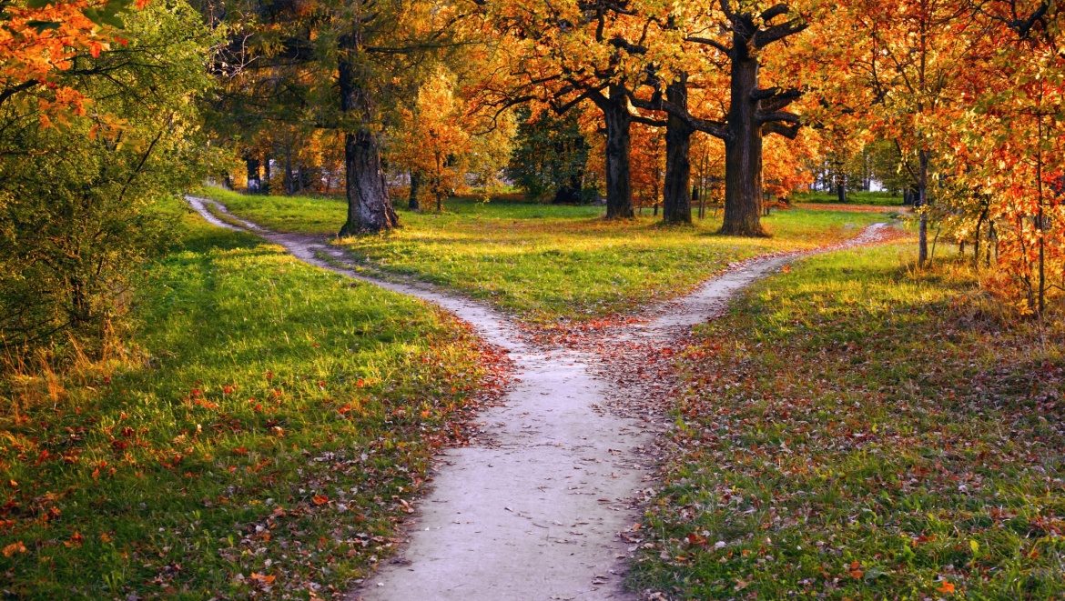 Dual Track: Zwei Wege für den Exit testen