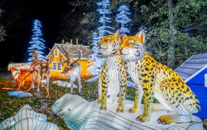 Freizeitparks mit Wintercharme - Serengeti Park Hodenhagen